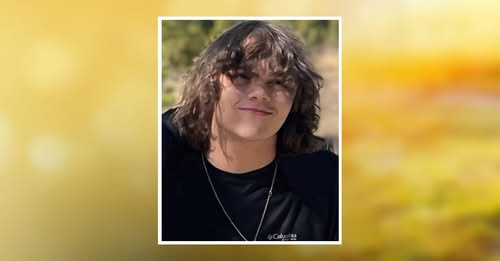Nash Smither Obituary, Henry County High School Student Remembered for His Unique Spirit, Kind Heart, and Love for Family